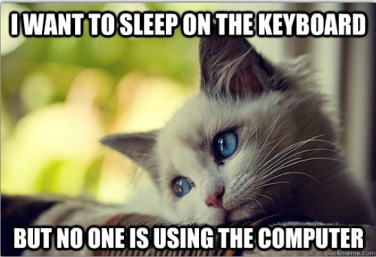 10 Kooky Pieces of Cat Logic Every Owner Understands