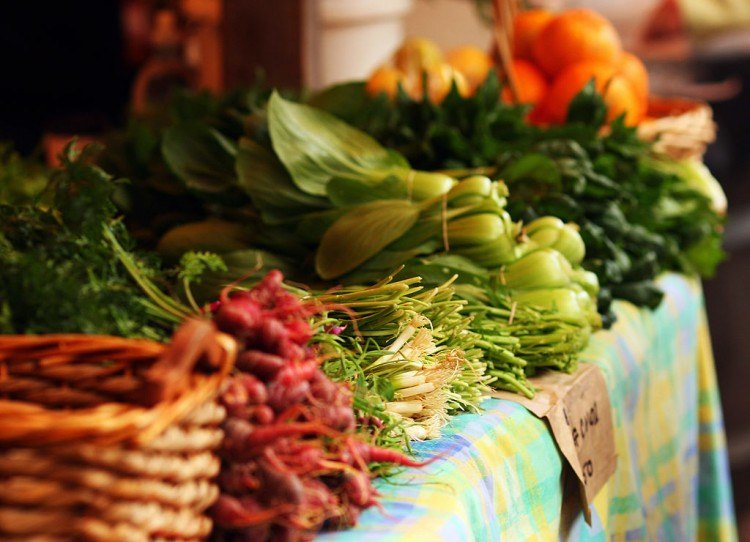 save money eat healthier