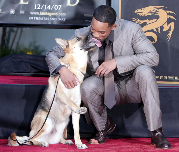 Will Smith Hand and Footprint Ceremony at Grauman's Chinese Theatre