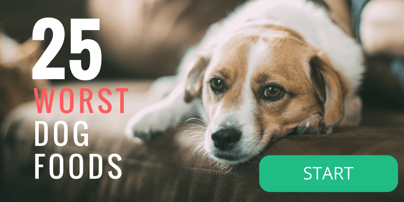worst dog foods