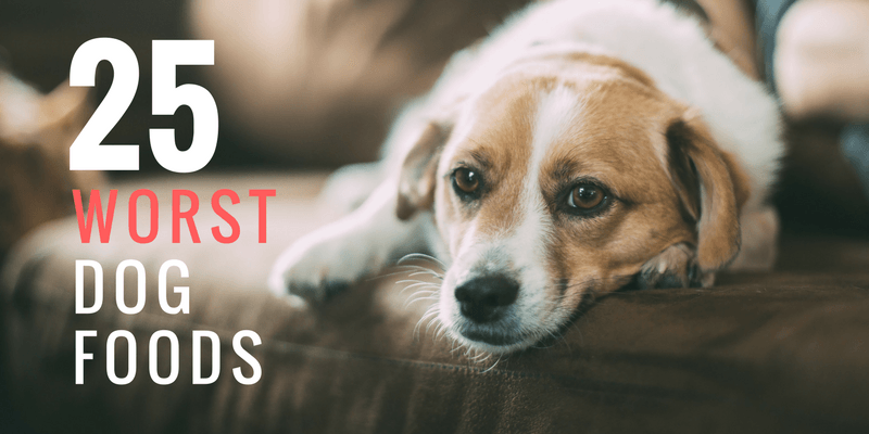25 Worst Dog Foods