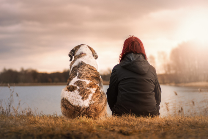 dog friend