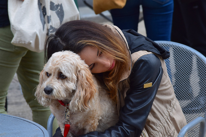 dog hug