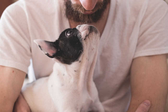 dog sniffing owner