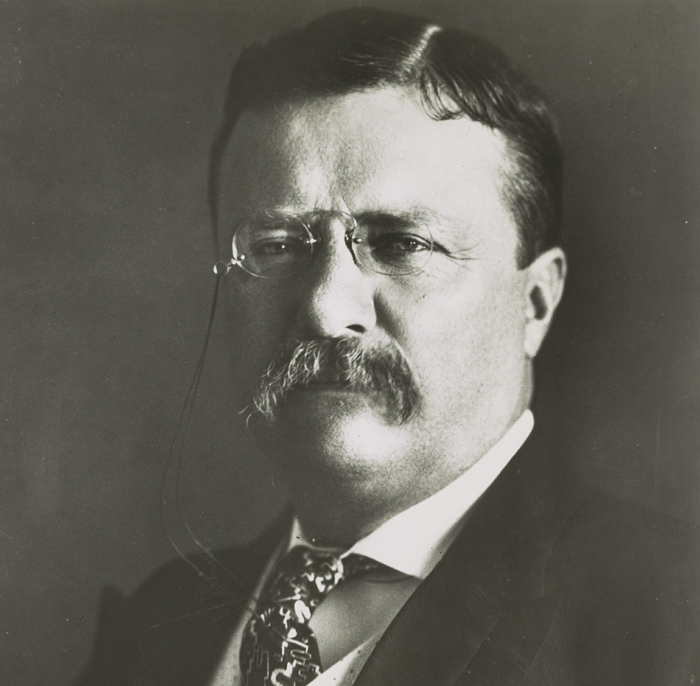 theodore roosevelt president